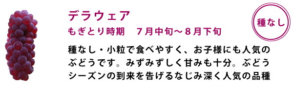 デラウェア