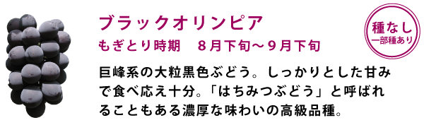 ブラックオリンピア